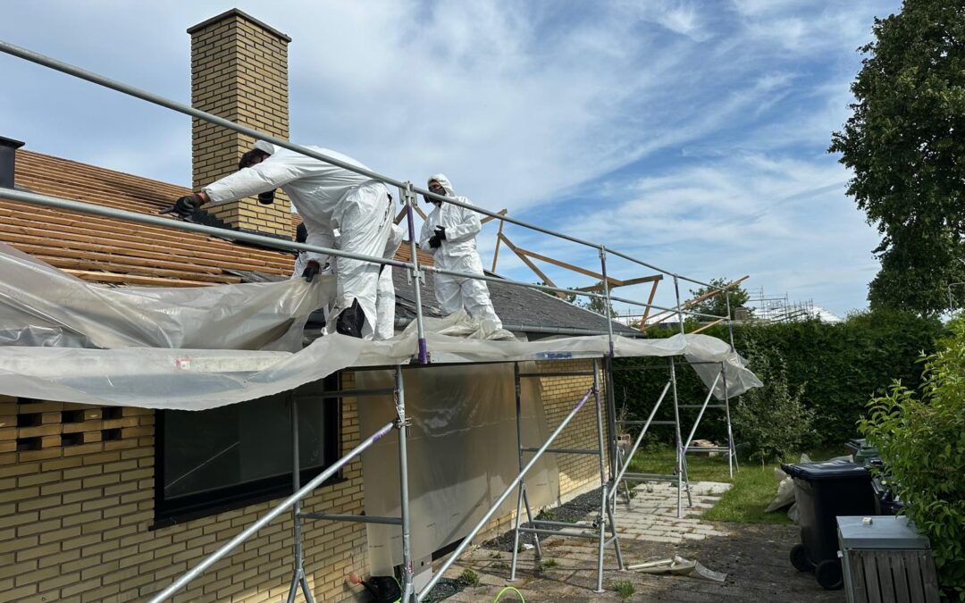 Hvordan ser skimmelsvamp ud?