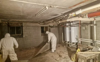 Hvordan foregår professionel asbestsanering – trin for trin