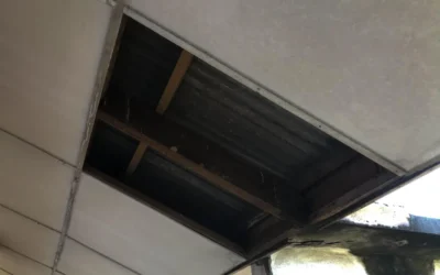 Asbest i loftplader – sådan opdager og håndterer du det sikkert